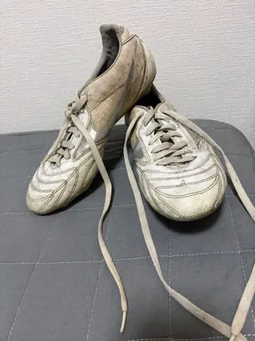 미즈노 와이탕기 26.5