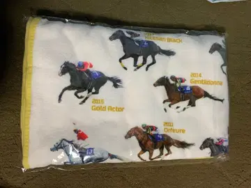 2025 아리마 기념 점보 담요