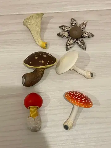 버섯 마그넷 6세트