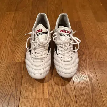 모렐리아 2 japan