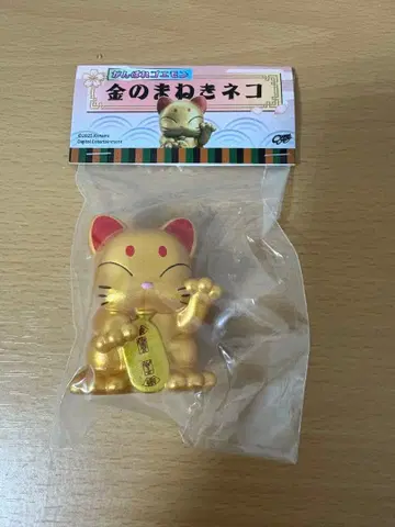 창 창 금 고양이 취미 라운드 33 호비란