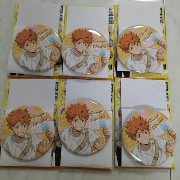 하이큐 히나타 쇼요 더 놀고 싶어 캔뱃지 6개 세트
