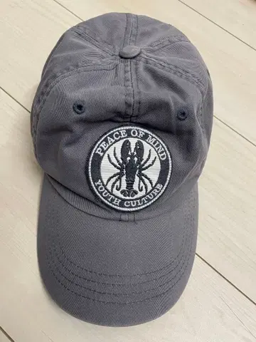 PEACE OF MIND 그레이 캡