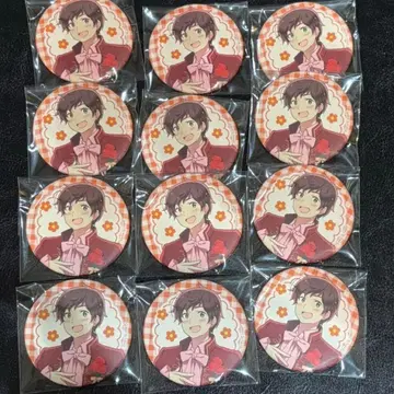 헤타리아 플라워 퍼레이드 스페인 캔뱃지 12개