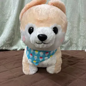 마루타마 콩 시바 삼형제 사스케 약 44cm