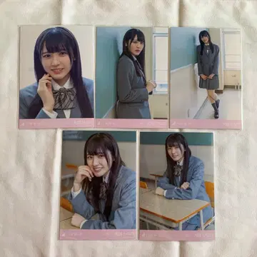 노기자카46 브로마이드 오오코시 히나노 타임리밋 짝사랑 5종