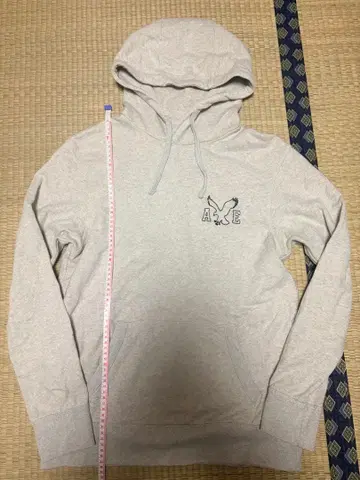 American Eagle 후드티
