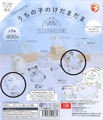 우리 아이 털뭉치 강아지 치와와 화이트 블랙 2종