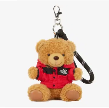 THE NORTH FACE MT. BEAR KEY RING