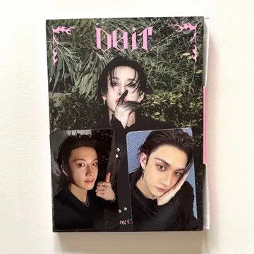 straykids 방찬 DOiT 트레이딩 카드 아코디언 CD