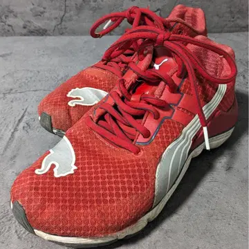 [ PUMA ] 부머 (24.5) 스니커즈