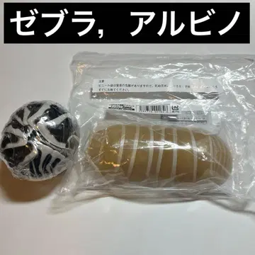 생물대도감 어드밴스 제브라 공벌레 알비노 공벌레