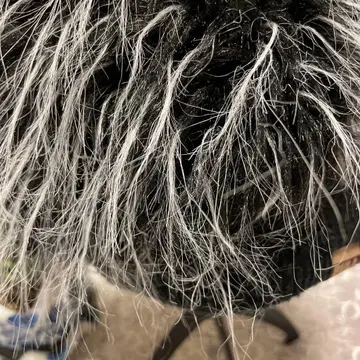 BU LA U S A 안감 포함 페이크퍼 모자