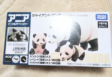 미사용 새상품 아니아 팬더 우에노 동물원 오리지널 모델