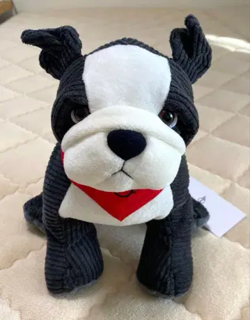 MINI 봉제 인형 스파이크