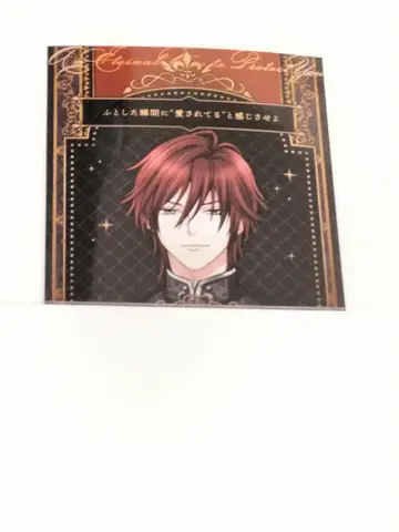 거울 속의 프린세스 미라프리 뤼도 브로마이드 심쿵 이벤트