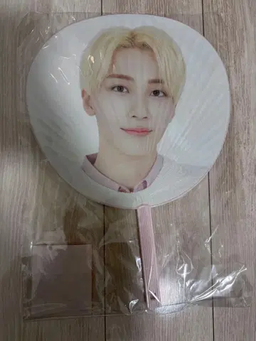 SEVENTEEN 정한 부채 HARU