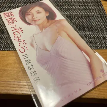 장미꽃 난잡함|불꽃의 미소