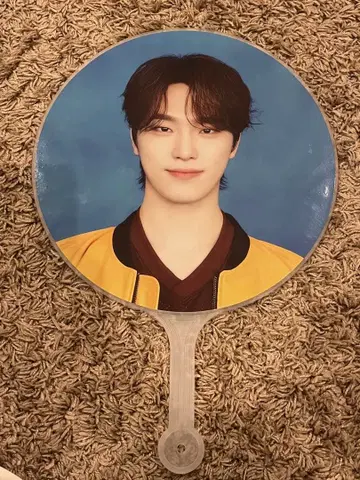 [2025 CARAT LAND] 이미지 피켓 DINO