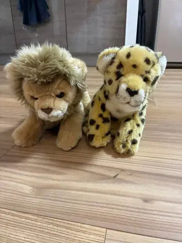 동물원 사자 호랑이 봉제 인형