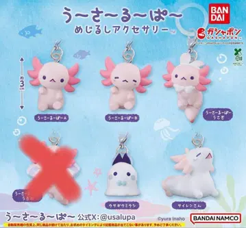 우사루파 메지루시 액세서리 5세트