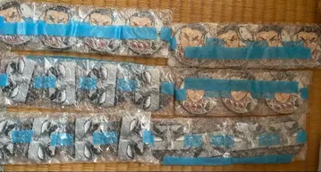 귀멸의 칼날 히메지마 기둥전