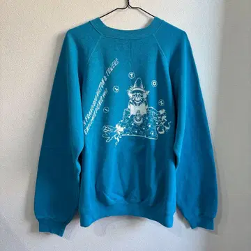 90s Hanes USA제 맨투맨 XL 백 프린트 힐튼