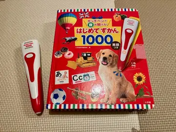 처음 배우는 그림책 1000