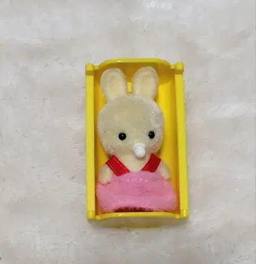 3학년 2반 친구들 토끼 아기 사만다