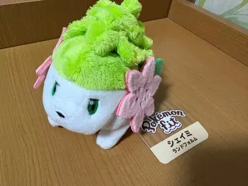 포켓몬 센터 쉐이미 FIT 봉제 인형