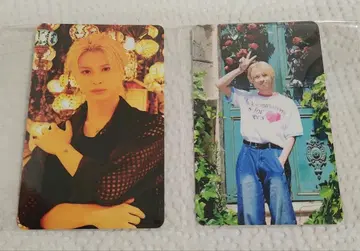 오카미야 라이무 이벤트 트레이딩 카드