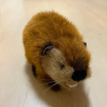 super beaver 봉제 인형