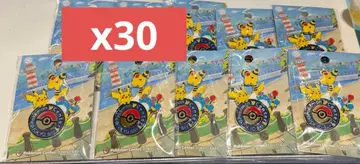 포켓몬 센터 도쿄 베이 리뉴얼 오픈 기념 한정판 핀 배지 30개