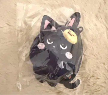 [미개봉 새상품] RIIZE 원빈 미니 인형 키링 토냥덕