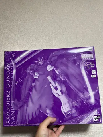 MG 1/100 건담 산드로크 개 EW