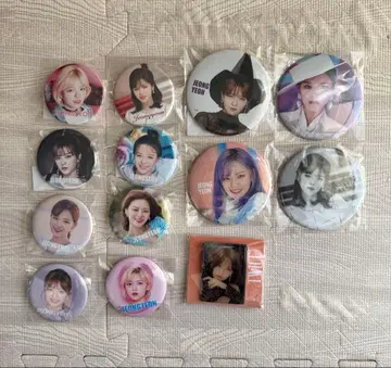 정연 캔뱃지 세트