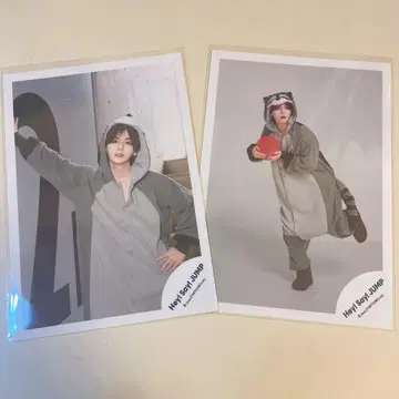 야마다 료스케 공식 사진 너구리