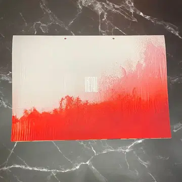 [ 새상품 즉시 구매 가능 ] THE FALL / 낙하의 왕국 팜플렛