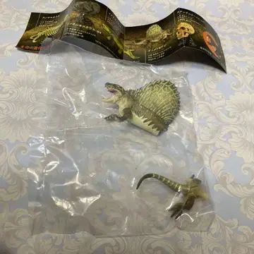 생명 대약진 캡슐 가챠 과학박물관 한정판 코하쿠 한정판 디메트로돈 미개봉