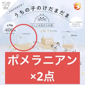 [ 정품 ] 우리 집 강아지 털뭉치 개 포메라니안 2개