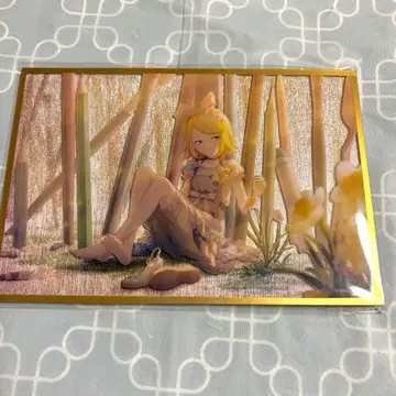 하피콜레 카가미네 린 색지 D