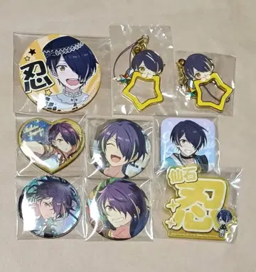 앙스타 센고쿠 시노부 9점 세트