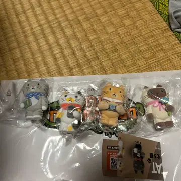 CACAOCAT 4개 세트