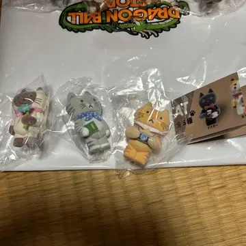 CACAOCAT 3종 세트