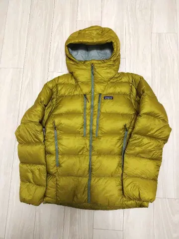 patagonia 피츠로이 타운 후드티