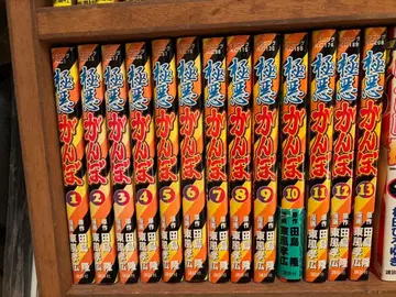 극악 간보 1~13권