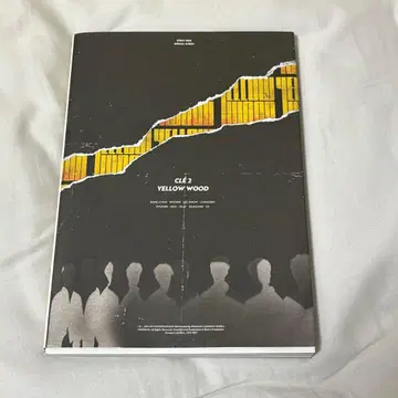 Straykids Yellow wood 한정판 창빈