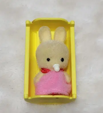 2학년 3반 친구들 토끼 아기 사만다