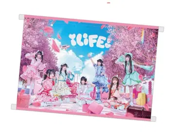 iLiFE! 온라인 복권 가라퐁 B상 B3 태피스트리