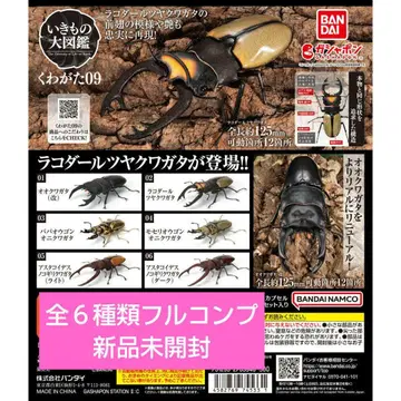생물대도감 사슴벌레 09 총 6종 풀컴프 미개봉 새상품 가챠판